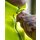 Hi-Vis Safety Fleece-Jacket Bergen - Fleecejacke - gelb